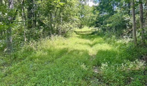 Photo #50 of Off Stewartsville Rd , Vinton, VA 17.5 acres