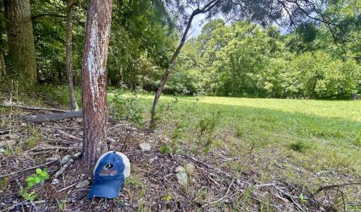 Photo #52 of Off Stewartsville Rd , Vinton, VA 17.5 acres