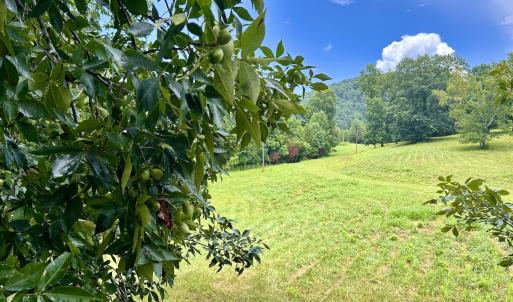 Photo #56 of Off Stewartsville Rd , Vinton, VA 17.5 acres