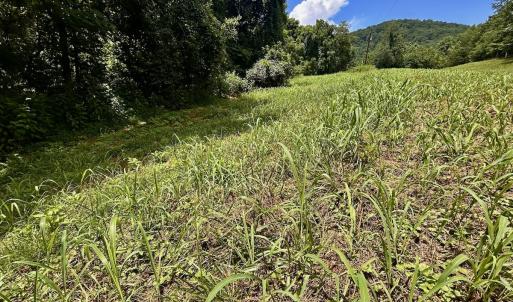 Photo #57 of Off Stewartsville Rd , Vinton, VA 17.5 acres