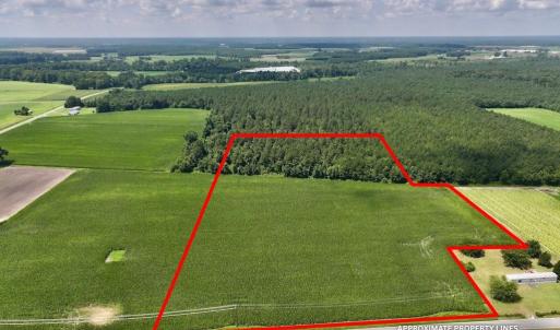 Photo #1 of 01 Vandiford Thomas Road, Snow Hill, NC 10.9 acres