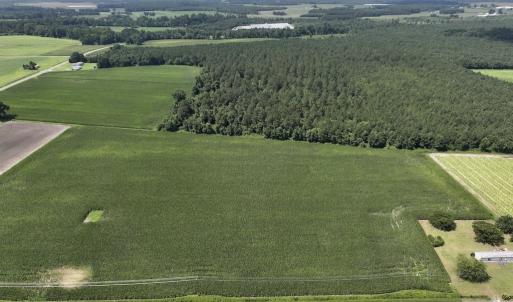 Photo #2 of 01 Vandiford Thomas Road, Snow Hill, NC 10.9 acres