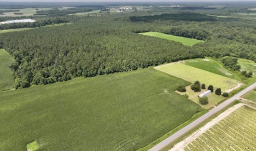 Photo #16 of 01 Vandiford Thomas Road, Snow Hill, NC 10.9 acres