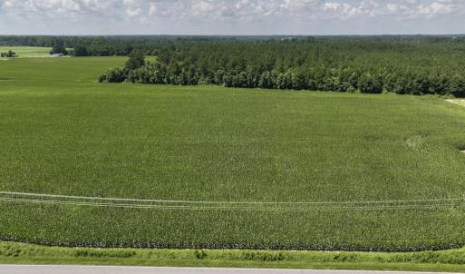 Photo #17 of 01 Vandiford Thomas Road, Snow Hill, NC 10.9 acres