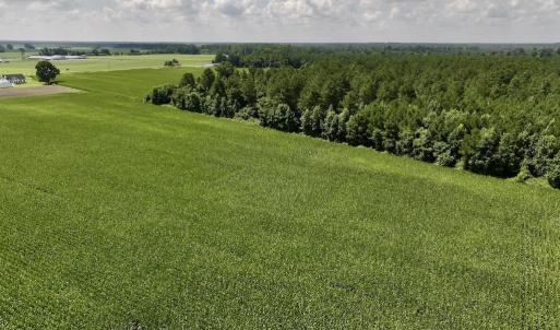 Photo #18 of 01 Vandiford Thomas Road, Snow Hill, NC 10.9 acres