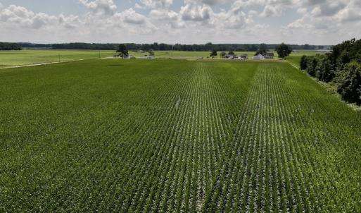 Photo #20 of 01 Vandiford Thomas Road, Snow Hill, NC 10.9 acres