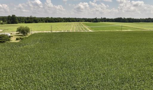Photo #22 of 01 Vandiford Thomas Road, Snow Hill, NC 10.9 acres