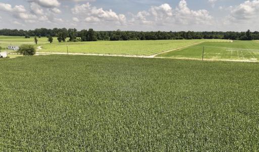 Photo #24 of 01 Vandiford Thomas Road, Snow Hill, NC 10.9 acres