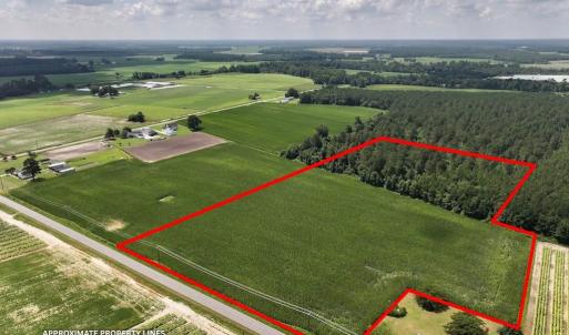 Photo #3 of 01 Vandiford Thomas Road, Snow Hill, NC 10.9 acres