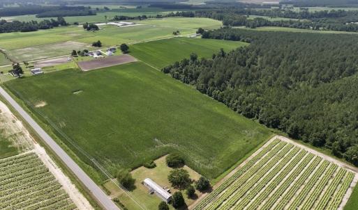 Photo #4 of 01 Vandiford Thomas Road, Snow Hill, NC 10.9 acres