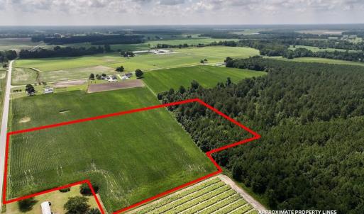 Photo #5 of 01 Vandiford Thomas Road, Snow Hill, NC 10.9 acres