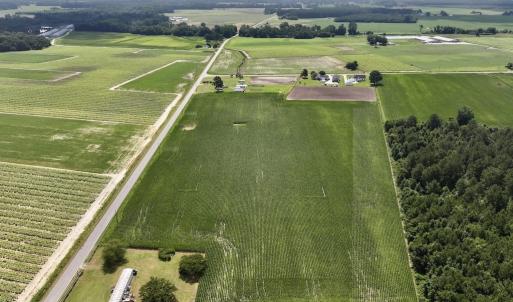 Photo #6 of 01 Vandiford Thomas Road, Snow Hill, NC 10.9 acres