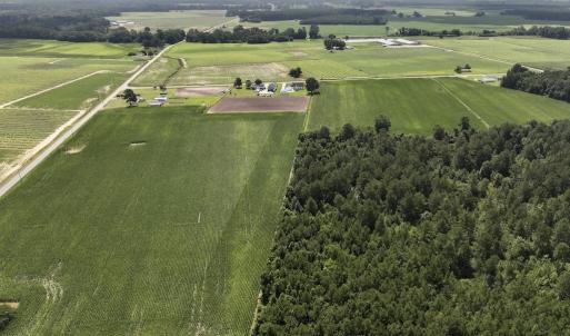 Photo #8 of 01 Vandiford Thomas Road, Snow Hill, NC 10.9 acres