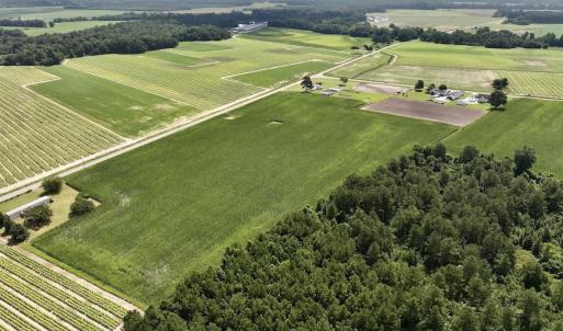 Photo #9 of 01 Vandiford Thomas Road, Snow Hill, NC 10.9 acres