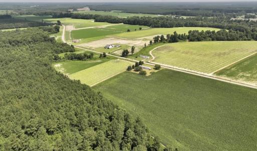 Photo #11 of 01 Vandiford Thomas Road, Snow Hill, NC 10.9 acres