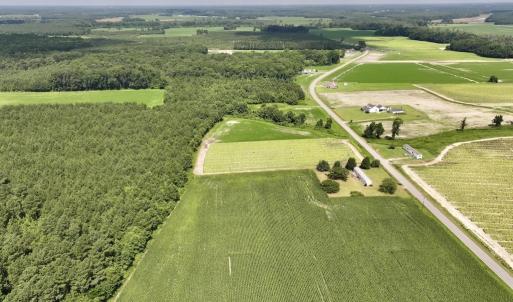 Photo #12 of 01 Vandiford Thomas Road, Snow Hill, NC 10.9 acres