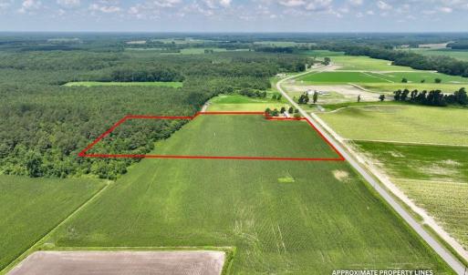 Photo #13 of 01 Vandiford Thomas Road, Snow Hill, NC 10.9 acres