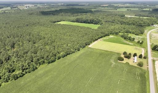 Photo #14 of 01 Vandiford Thomas Road, Snow Hill, NC 10.9 acres