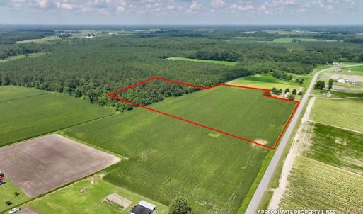Photo #15 of 01 Vandiford Thomas Road, Snow Hill, NC 10.9 acres