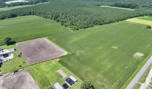 Photo #10 of 02 Vandiford Thomas Road, Snow Hill, NC 10.9 acres