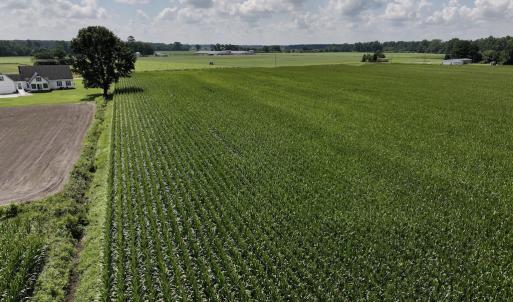 Photo #14 of 02 Vandiford Thomas Road, Snow Hill, NC 10.9 acres