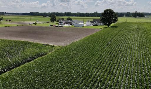 Photo #16 of 02 Vandiford Thomas Road, Snow Hill, NC 10.9 acres