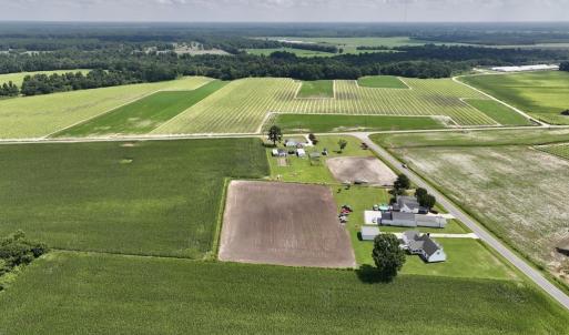 Photo #3 of 02 Vandiford Thomas Road, Snow Hill, NC 10.9 acres