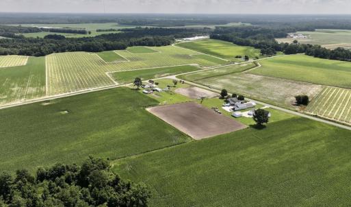 Photo #4 of 02 Vandiford Thomas Road, Snow Hill, NC 10.9 acres