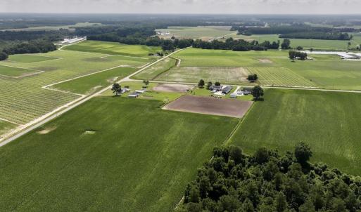 Photo #5 of 02 Vandiford Thomas Road, Snow Hill, NC 10.9 acres