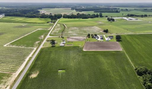Photo #7 of 02 Vandiford Thomas Road, Snow Hill, NC 10.9 acres