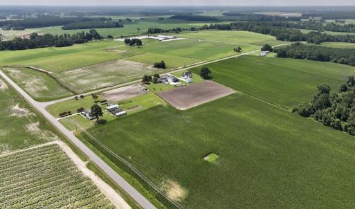 Photo #8 of 02 Vandiford Thomas Road, Snow Hill, NC 10.9 acres