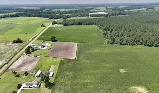 Photo #9 of 02 Vandiford Thomas Road, Snow Hill, NC 10.9 acres