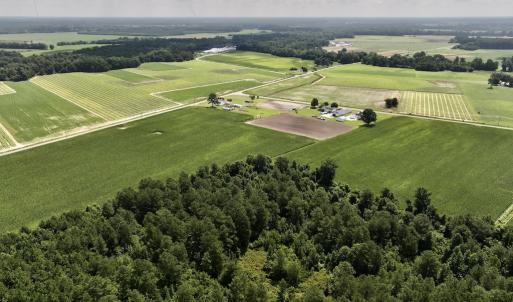 Photo #11 of 03 Albritton Road , Snow Hill, NC 11.4 acres