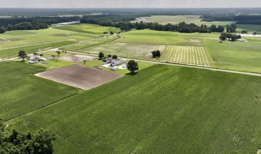 Photo #12 of 03 Albritton Road , Snow Hill, NC 11.4 acres