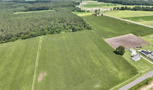 Photo #15 of 03 Albritton Road , Snow Hill, NC 11.4 acres