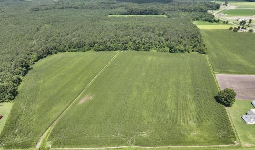 Photo #16 of 03 Albritton Road , Snow Hill, NC 11.4 acres