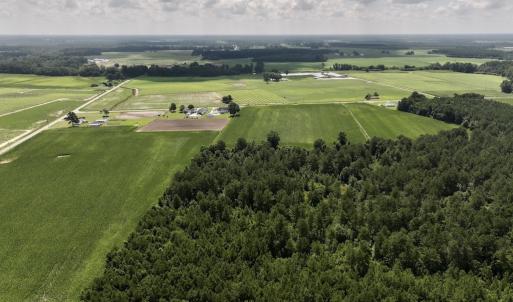 Photo #17 of 03 Albritton Road , Snow Hill, NC 11.4 acres