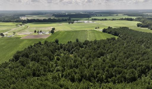 Photo #18 of 03 Albritton Road , Snow Hill, NC 11.4 acres
