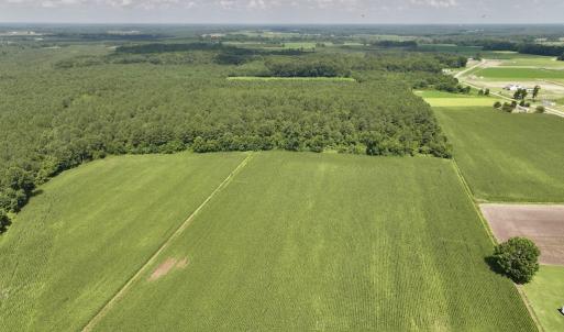 Photo #2 of 03 Albritton Road , Snow Hill, NC 11.4 acres
