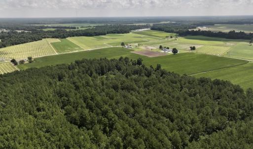 Photo #20 of 03 Albritton Road , Snow Hill, NC 11.4 acres
