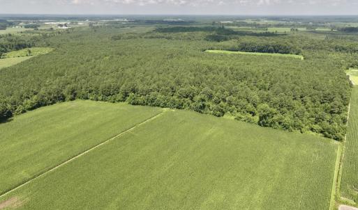 Photo #3 of 03 Albritton Road , Snow Hill, NC 11.4 acres
