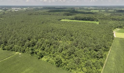 Photo #4 of 03 Albritton Road , Snow Hill, NC 11.4 acres