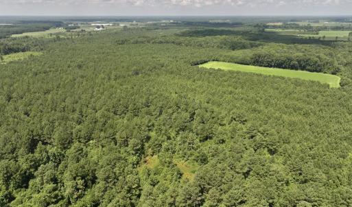 Photo #5 of 03 Albritton Road , Snow Hill, NC 11.4 acres