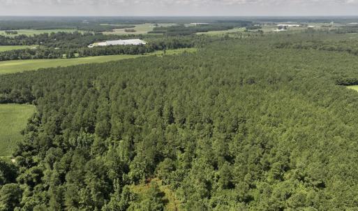 Photo #6 of 03 Albritton Road , Snow Hill, NC 11.4 acres