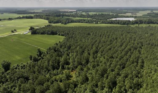 Photo #7 of 03 Albritton Road , Snow Hill, NC 11.4 acres