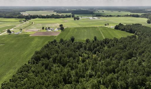 Photo #8 of 03 Albritton Road , Snow Hill, NC 11.4 acres
