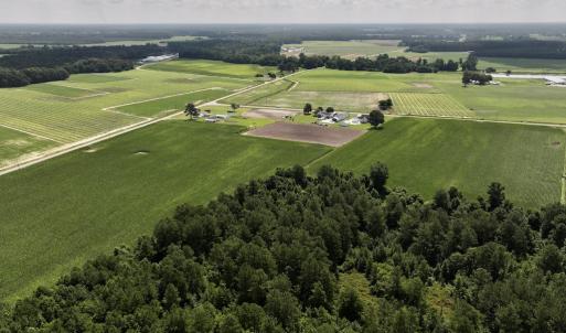 Photo #9 of 03 Albritton Road , Snow Hill, NC 11.4 acres