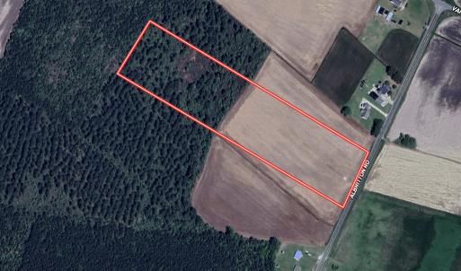 Photo #21 of 03 Albritton Road , Snow Hill, NC 11.4 acres
