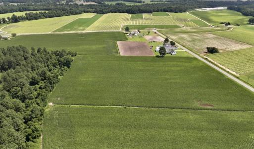 Photo #10 of 04 Albritton Road, Snow Hill, NC 10.9 acres