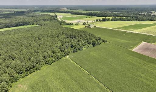 Photo #12 of 04 Albritton Road, Snow Hill, NC 10.9 acres